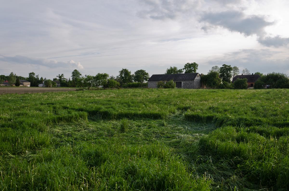 Kręgi w Rożnowie (2014 r.)