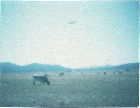 UFO, Argentyna 1981