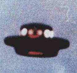 UFO Meksyk, kwiecień 1993
